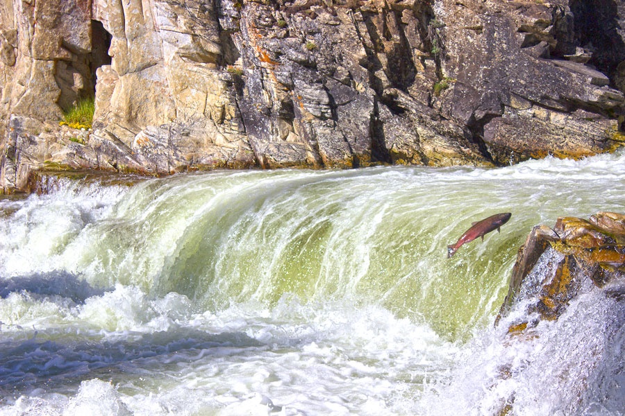 Photo Credit: Idaho River Journeys